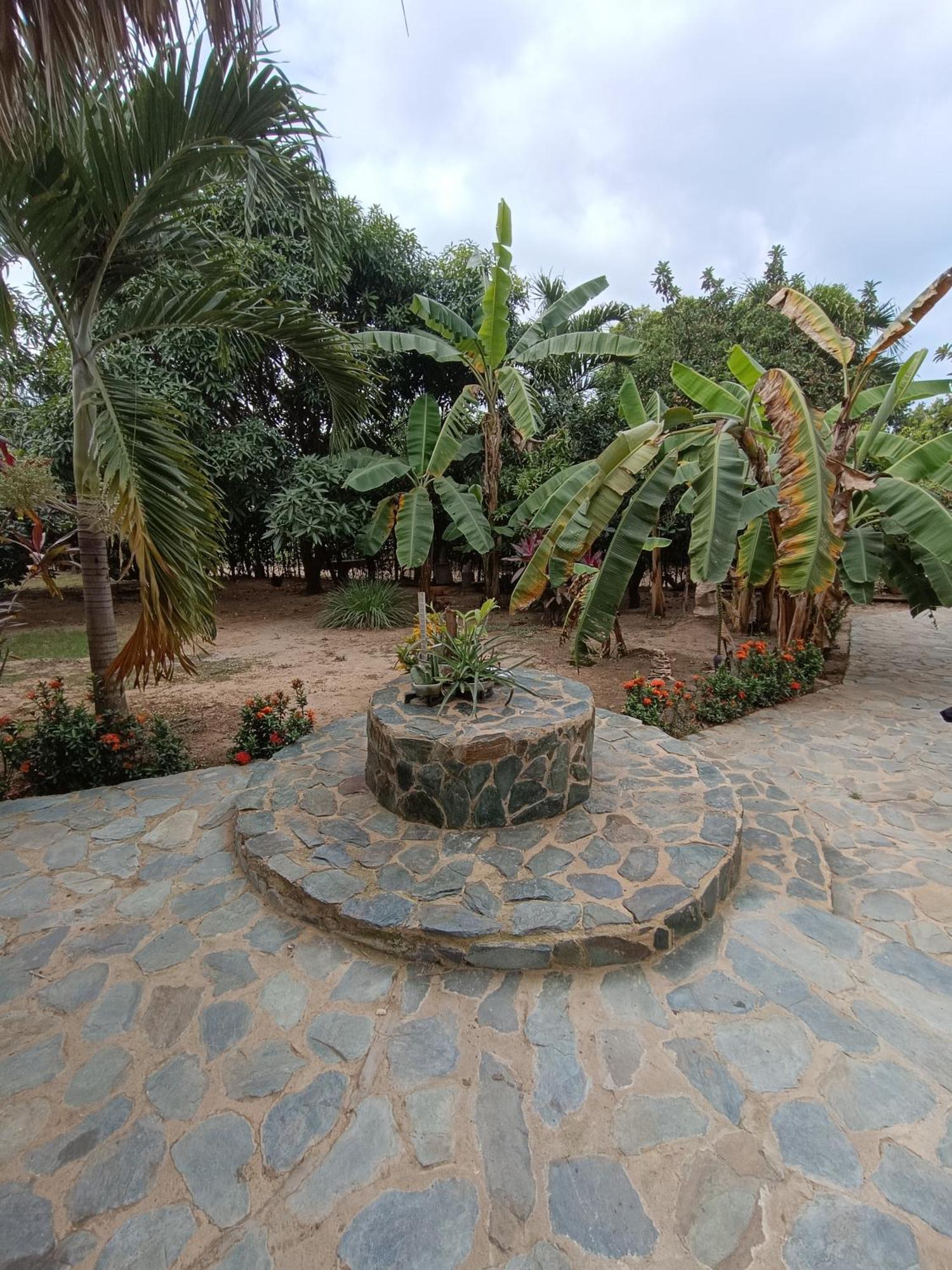 El Paraiso De Carmen Palomino Ngoại thất bức ảnh