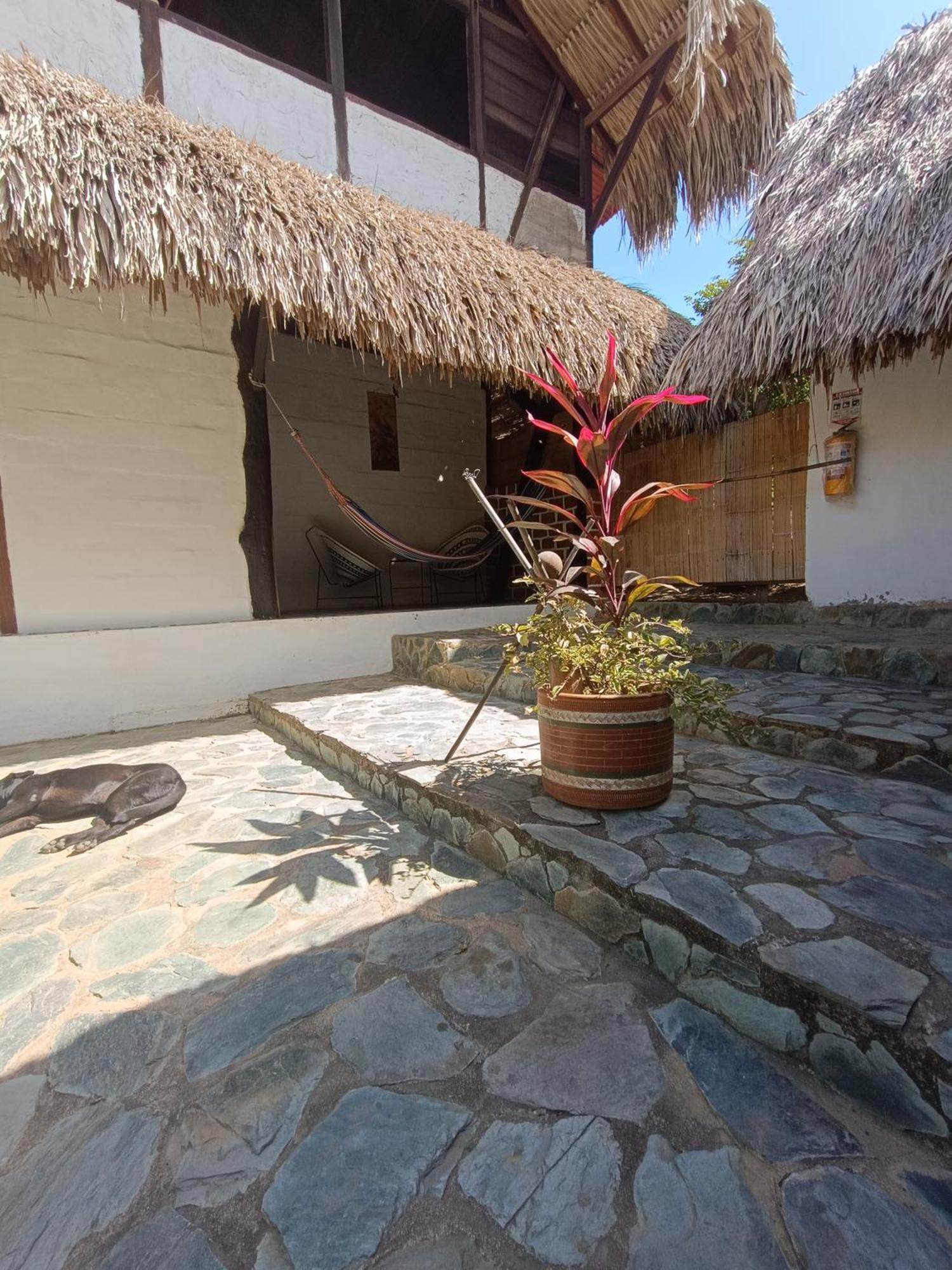 El Paraiso De Carmen Palomino Ngoại thất bức ảnh